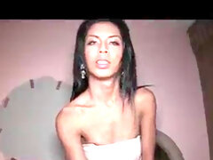 Amateur, Asiatique, Sucer une bite, Béant, Hard, Jeunes transsexuelles thaïlandaises, Transsexuelle, Thaïlandaise
