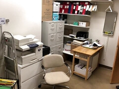 Любители, Большая жопа, Грудастые, Кончили внутрь, Межрасовый секс, В офисе, Тату, Молоденькие