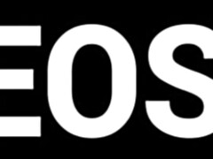 Leie, Wohlbeleibte schöne frauen, Grosser arsch, Blasen, Schwarz, Fett, Hardcore, Muschi