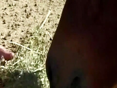 18, アナル, デカパイ, ブロンド, 大学生, イく瞬間, 指いじり, ハードコア