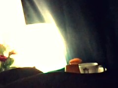 Chinees, Nederlands, Bekijker