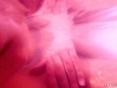 Жопа, Спальня, Латиноамериканки, Мастурбация, Натуральные сиськи, Масло, Киски, Влажная