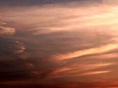 Азиатки, Брюнетки, Глубокая глотка, Член, Фетиш, Японки, На публике, Молоденькие