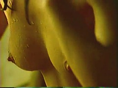 ブラジル, ラティーナ, ヴィンテージ