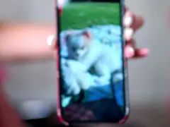 Asiático, Belleza, Hd, Lencería, Juguetes