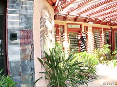 アジア人, ビキニ, 茶髪の, なめる, オナニー, アウトドア, ソフトコア, 一人