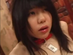 フェティッシュ, ハードコア, 日本人, オッパイの