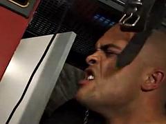 Grosse bite, Tir de sperme, Homosexuelle, Hard, Muscle, Espagnole, Suçant