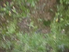 Анальный секс, В машине, Кончили внутрь, Ноги, Фетиш, Оргазм, На публике, Киски