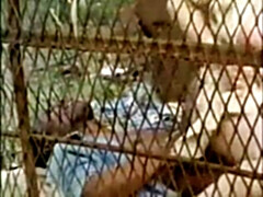 Schwarz, Interrassisch, Vintage