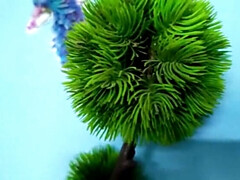 Domination, Femelle, Doigter, Indienne, Masturbation, Chatte, Vibromasseur, Épouse