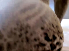 Amateur, Anal, Tetas grandes, Gordita, Alemán, Madres para coger, Pequeña, Chorro