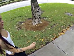 Lieveling, Europees, Gezichtspunt