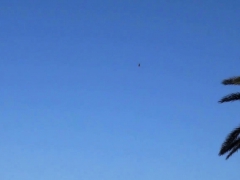 Leie, Blasen, Braunhaarige, Aufs gesicht abspritzen, Deutsch, Im freien, Pov, Öffentlich