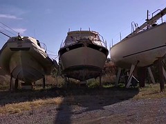 Horny Bitches In Outdoor Action