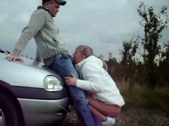 Любители, Блондинки, Кончили внутрь, Собачьи, На природе