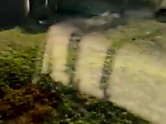 Gros cul, Sucer une bite, Brunette brune, Éjaculation interne, Queue, Hd, Fait maison, Mère que j'aimerais baiser