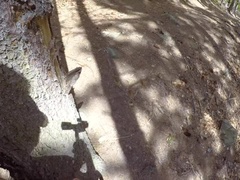 Anal, Culo, Atrapados, Garganta profunda, Hd, Pov, Público, Realidad