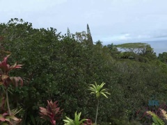 Amateur, Petite amie, Embrassement, De plein air, Pov, Public, Rasée, Mouillée