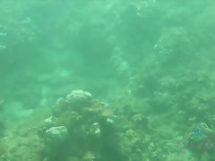 Playa, Bikini, Rubia, Despelote, Novia, Peludo, Coño, Mojado