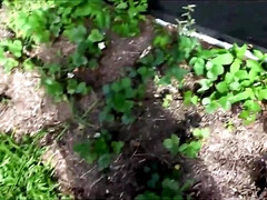 Grote mammen, Pijpbeurt, Bruinharig, Rondborstig, Sperma shot, Masturbatie, Natuurlijke tieten, Tiener