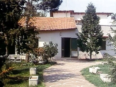 Большая жопа, Большие сиськи, Минет, Брюнетки, Член, Хд, Киски, Винтаж