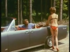 Sucer une bite, Brunette brune, Allemand, Groupe, Poilue, Hard, Actrice du porno, Rétro ancien