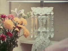 Grote mammen, Pijpbeurt, Classisch, Lul, Hardcore, Moeder die ik wil neuken, Kut duiken, Oud