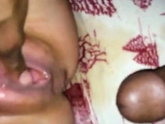 Leie, Interrassisch, Pov