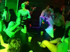 Zwart, Bruinharig, Aangekleed, Genootschap, Zoenen, Orgie, Verlegen, Swinger