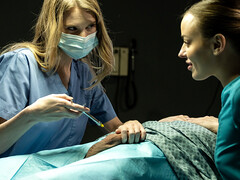 Lieveling, Grote kont, Bruinharig, Lul, Likken, Pornster, Kut duiken, Trio