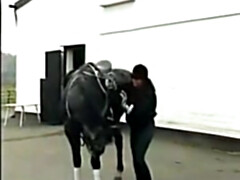 In den arsch, Europäisch, Milf, Orgie, Strümpfe, Jungendliche (18+), Vintage